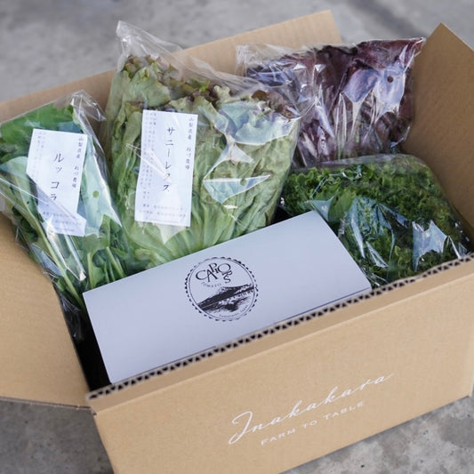 【季節限定】春の新鮮朝どれ野菜とカピオトマトのセット