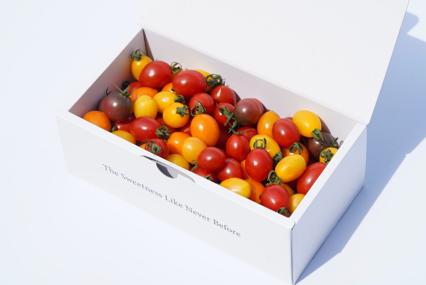 カピオトマトセレクト Mサイズ(おまかせ2〜3品種の詰め合わせ550g)