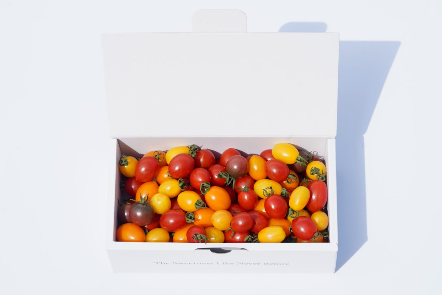 カピオトマトセレクト Mサイズ(おまかせ2〜3品種の詰め合わせ550g)