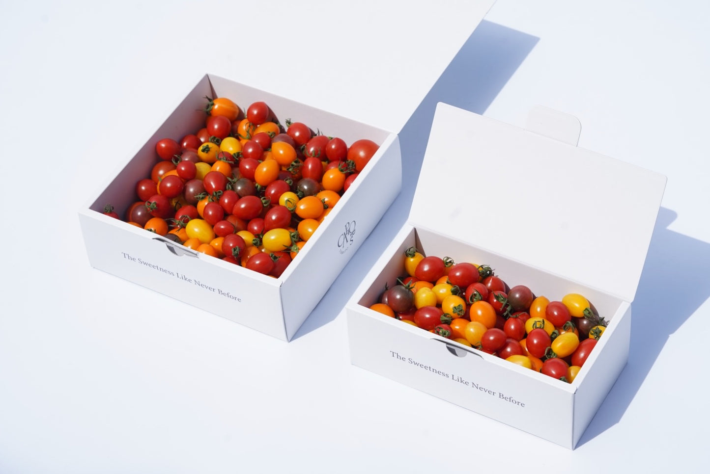 カピオトマトセレクト Mサイズ(おまかせ2〜3品種の詰め合わせ550g)