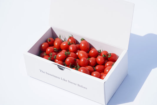 【季節限定】カピオプレミアムフラガールMサイズ550g