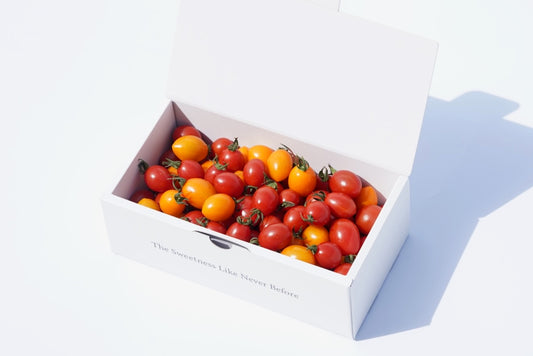 【季節限定】カピオプレミアムフラガールコンビ Mサイズ550g