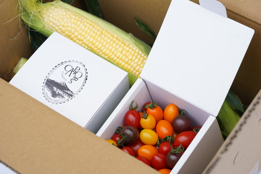 【期間限定・6月下旬まで】カピオトマトセレクト&農家厳選とうもろこしのセット