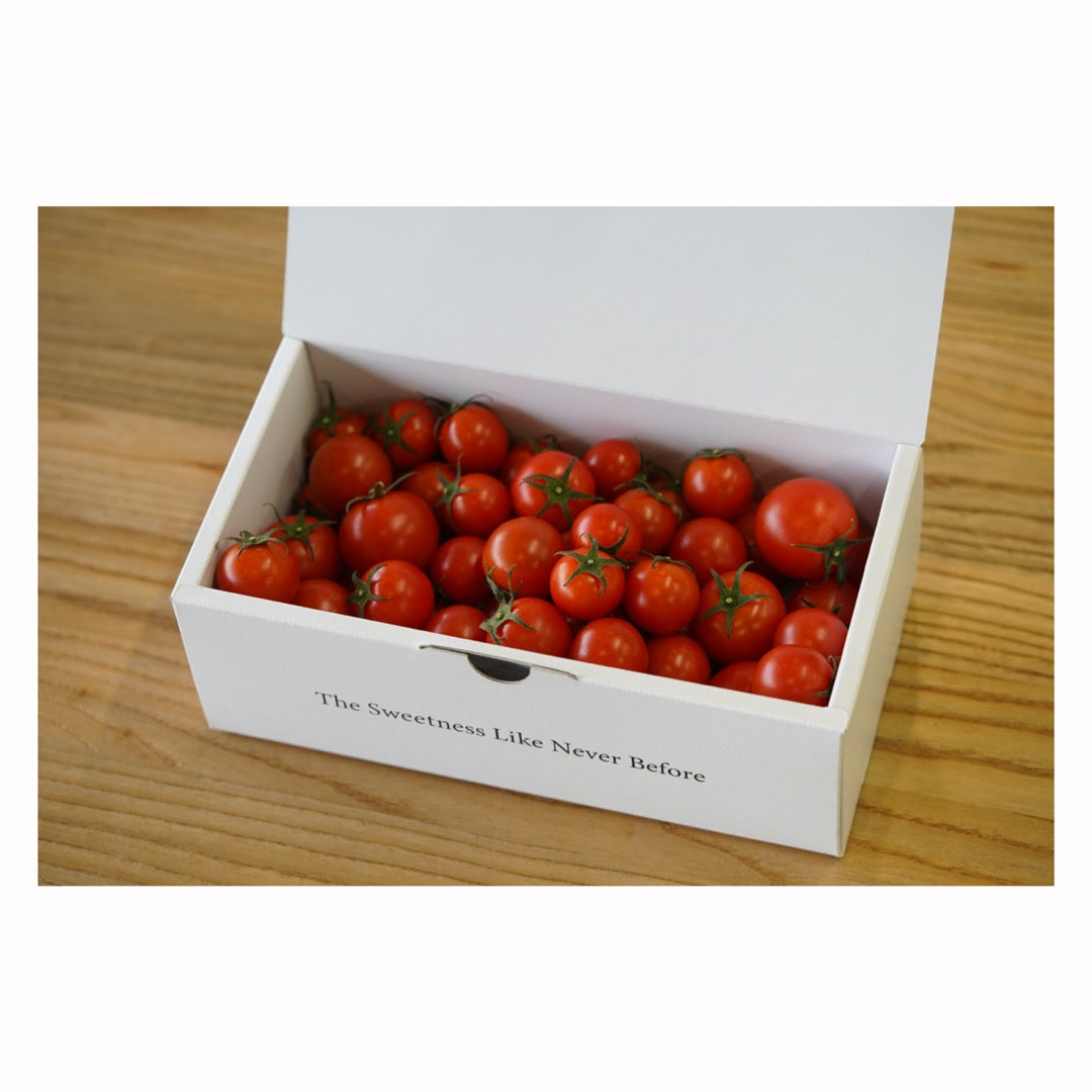 カピオプレミアムフルティカ Mサイズ 550g 予約受付中12月発送予定