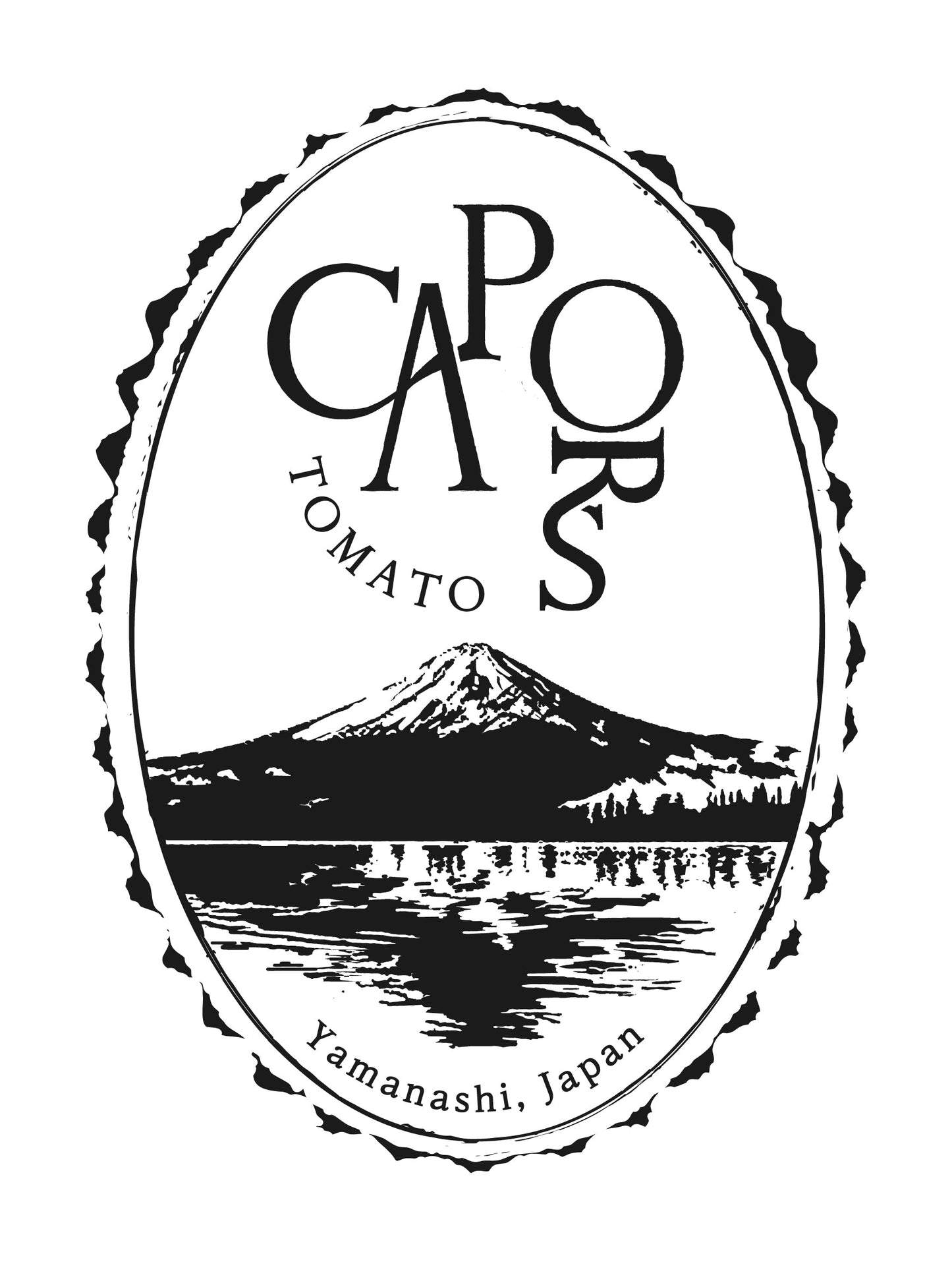 カピオトマトセレクト Sサイズ(おまかせ2〜3品種の詰め合わせ300g)12月発送予定