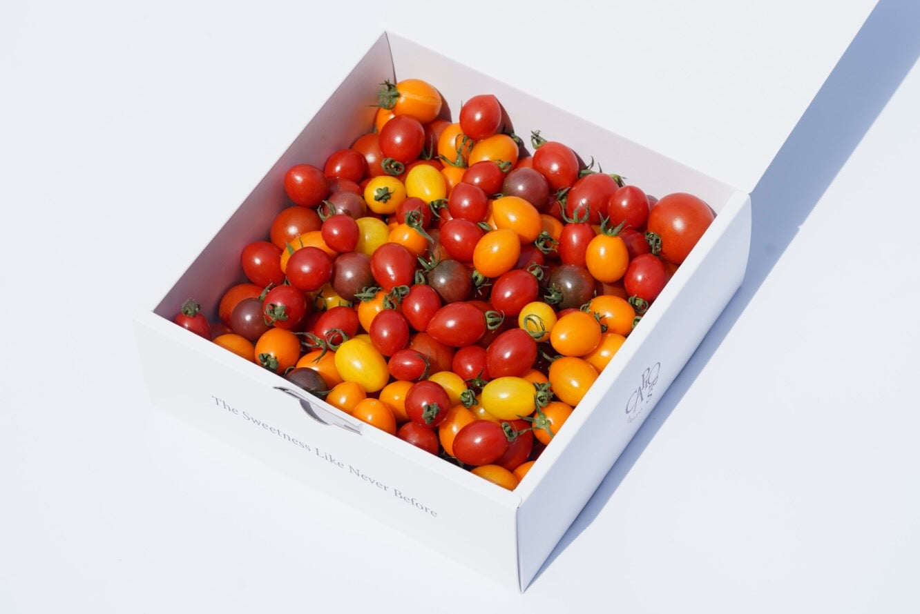 カピオトマトセレクト Lサイズ（おまかせ2〜3品種の詰め合わせ1kg）