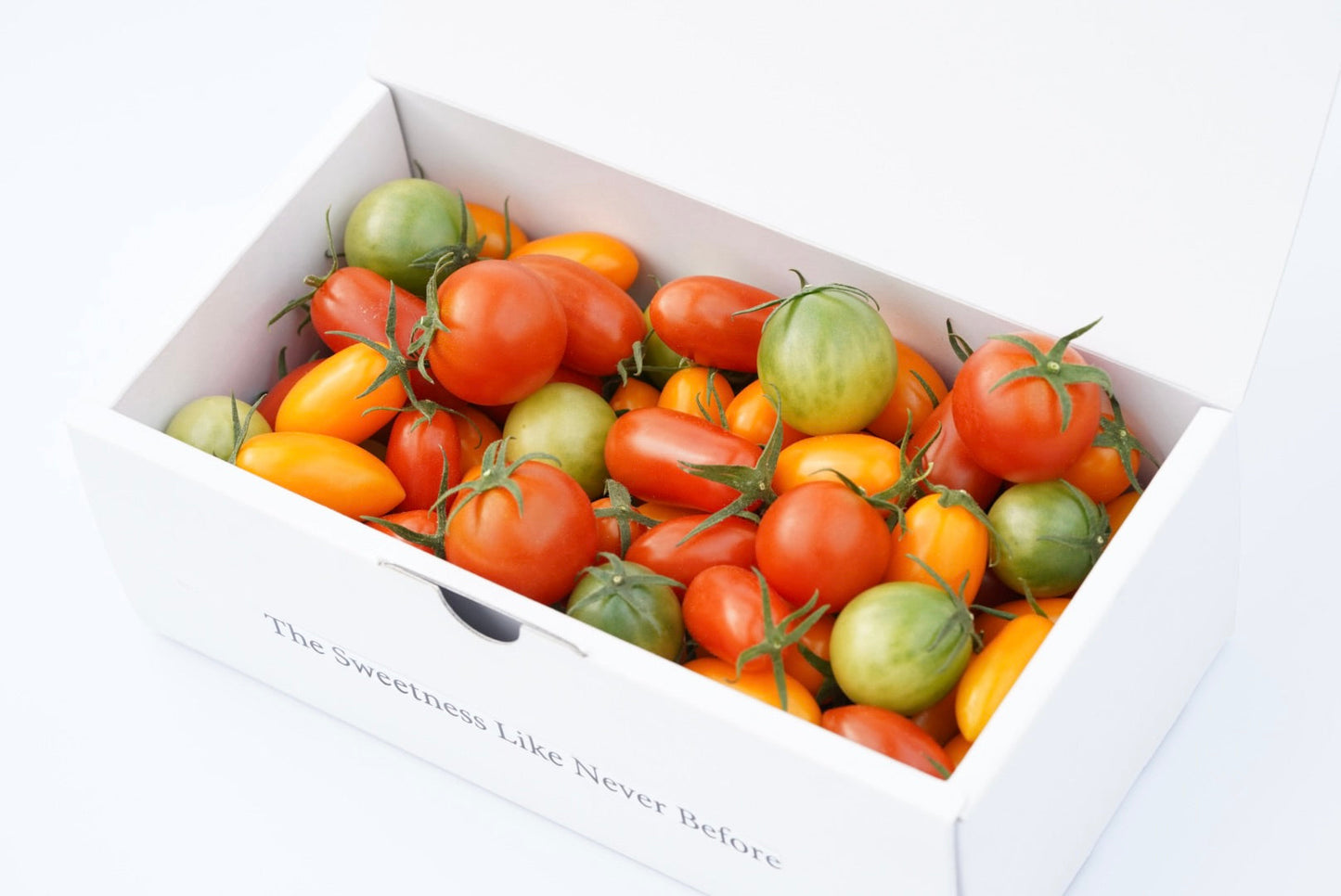 カピオトマトセレクト Mサイズ（おまかせ2〜3品種の詰め合わせ600g）