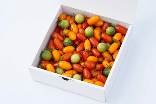 【予約受付中】カピオトマトセレクト Lサイズ（おまかせ2〜3品種の詰め合わせ1kg）